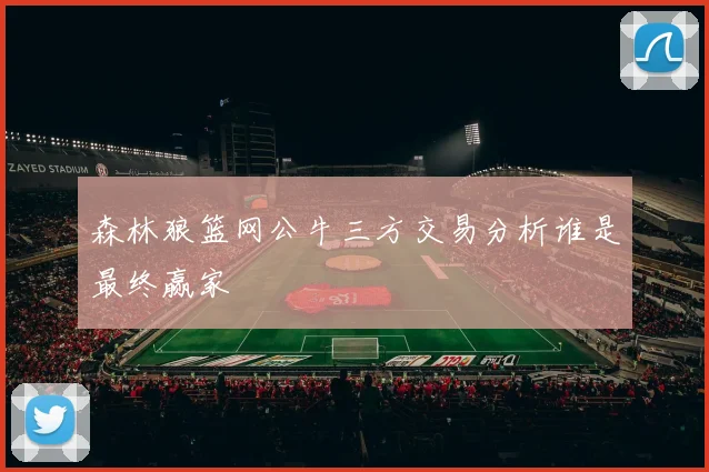森林狼篮网公牛三方交易分析谁是最终赢家